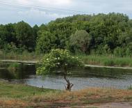 Демидівка з panoramio.com