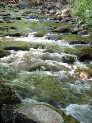 Синяк з panoramio.com