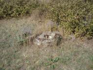 Весняна Квітка з panoramio.com