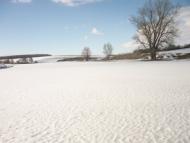 Новосілка з panoramio.com