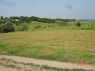 Динівці з panoramio.com