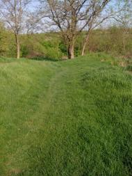 Новоархангельськ з panoramio.com