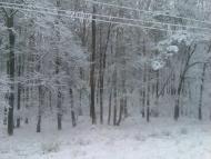 Жабка з panoramio.com