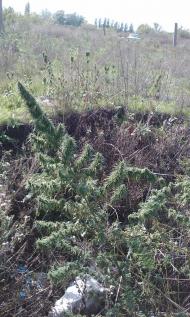 Новий Донбас з panoramio.com