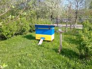 Мирне з panoramio.com