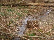 Кротошин з panoramio.com