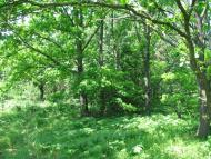 Кукарі з panoramio.com