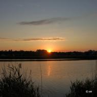 Вільне з panoramio.com