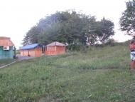 Вишневая - Последние фото