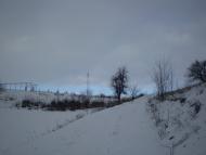 Ситники - Останні фото