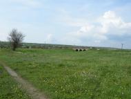 Благоєве з panoramio.com