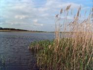 Савин з panoramio.com