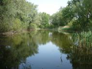 Комарівка з panoramio.com