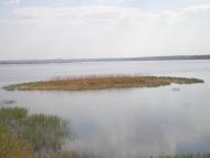 Петрово-Солониха з panoramio.com