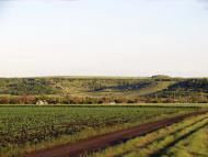 Поріччя - Останні фото