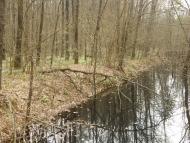 Довга Гребля з panoramio.com