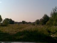 Новомутин з panoramio.com