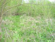 Хижня з panoramio.com