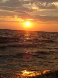 Максимівка з panoramio.com