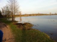 Мироцьке з panoramio.com