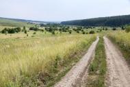 Молодова з panoramio.com