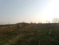 Миколаївські Сади з panoramio.com