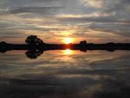 Дробишів з panoramio.com