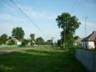 Майорщина з panoramio.com