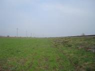 Оріхівка з panoramio.com