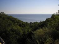 Максимівка з panoramio.com