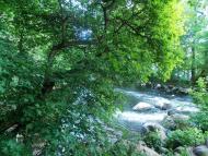 Дмитренки з panoramio.com