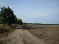 Городок з panoramio.com