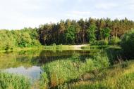 Сухоліси з panoramio.com