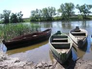 Чемерпіль з panoramio.com