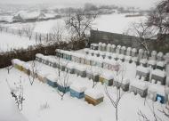 Війтівка з panoramio.com