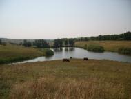 Федосіївка з panoramio.com