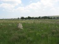 Благоєве з panoramio.com