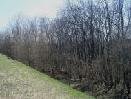 Чапаєвка з panoramio.com