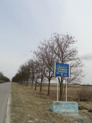 Сокіл з panoramio.com