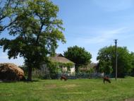 Новомалинівка з panoramio.com