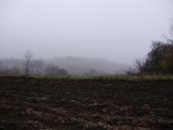 Ситники з panoramio.com