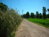 Золотоноша з panoramio.com