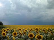 Морозівка з panoramio.com