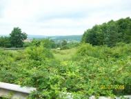 Завидово з panoramio.com