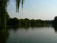 Крутеньке з panoramio.com