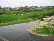 Котоване з panoramio.com