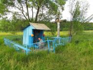 Березина з panoramio.com