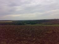 Вільшанка з panoramio.com