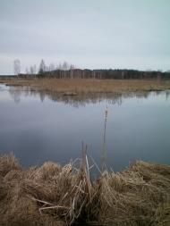 Осьмаки з panoramio.com