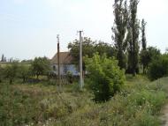 Весняна Квітка з panoramio.com